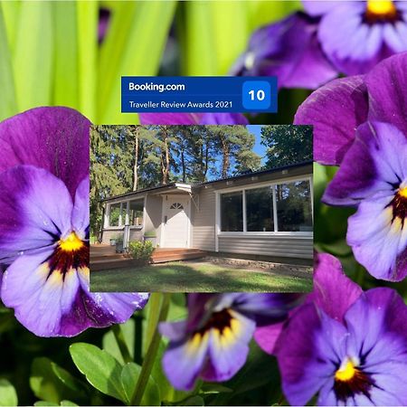 فيلا Nordic Relax House - Woodhouse Sjöbo المظهر الخارجي الصورة