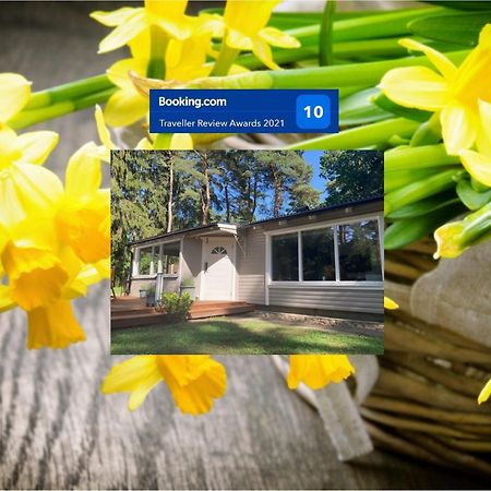 فيلا Nordic Relax House - Woodhouse Sjöbo المظهر الخارجي الصورة