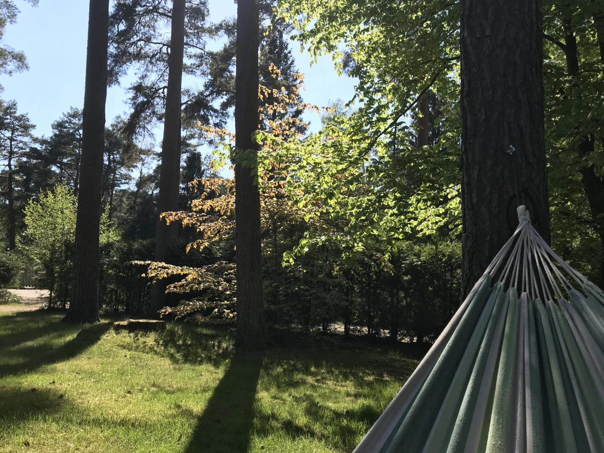 فيلا Nordic Relax House - Woodhouse Sjöbo المظهر الخارجي الصورة