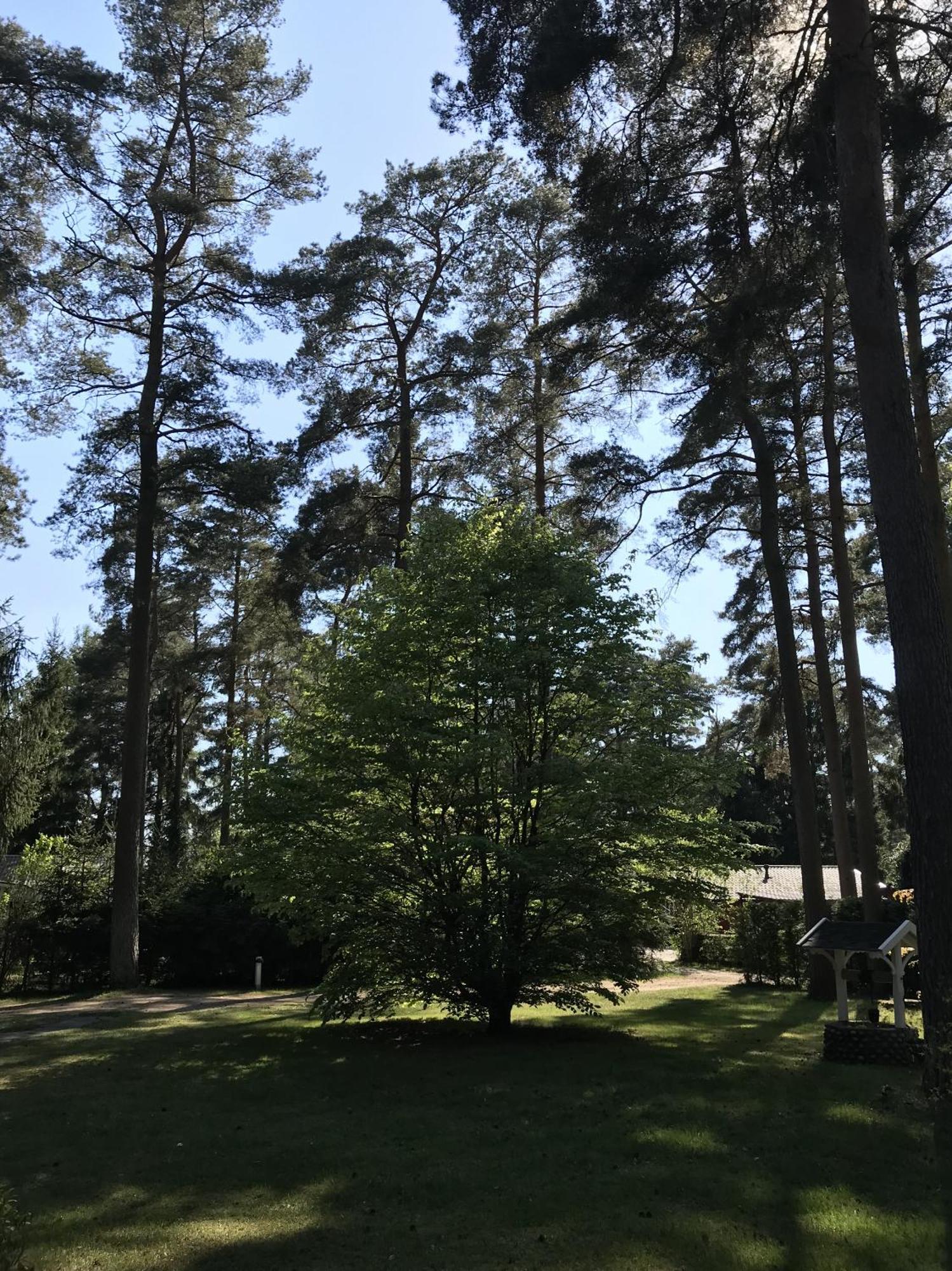 فيلا Nordic Relax House - Woodhouse Sjöbo المظهر الخارجي الصورة